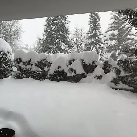 Grain D'Or Daire Verbier Dış mekan fotoğraf