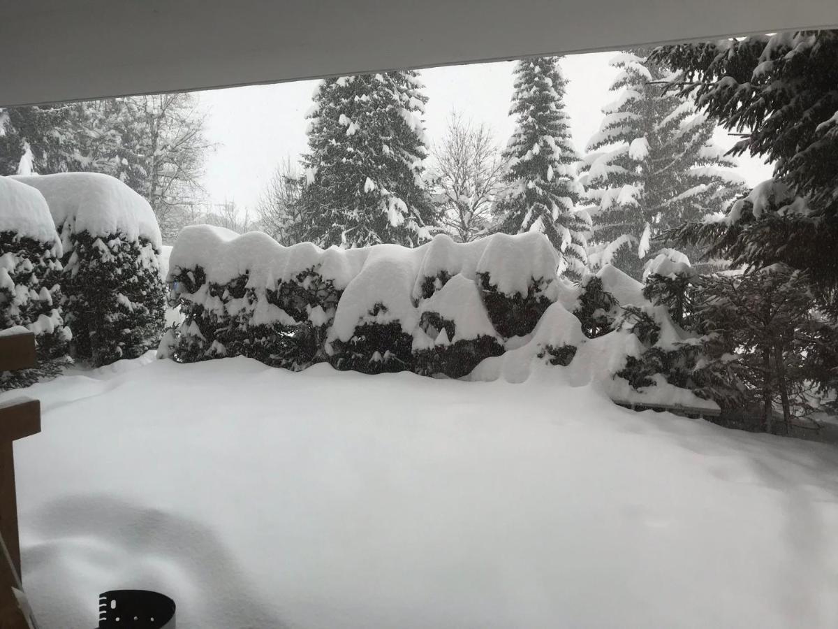 Grain D'Or Daire Verbier Dış mekan fotoğraf